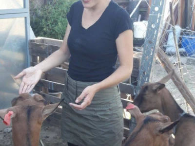 OPG Mandica Ilibašić