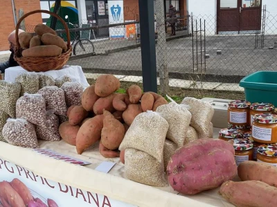 OPG Prpić