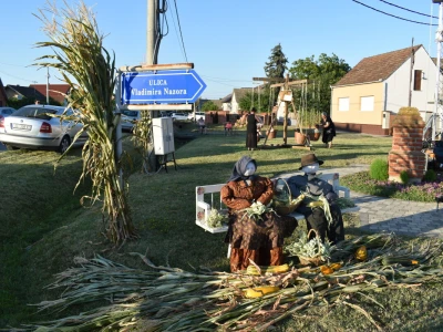 15. Kukuruzijada u Čepinskim Martincima