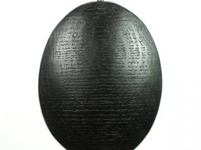 Fosilizirana ogrlica
