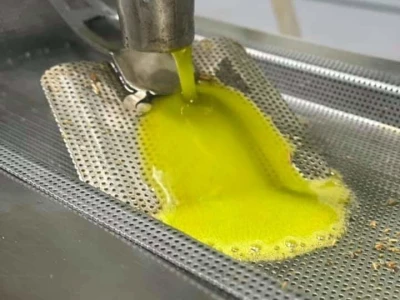 EKSKLUZIVNO - Sa masline stare 2.246 godina ubrali više od 100 kilograma vrhunskih plodova