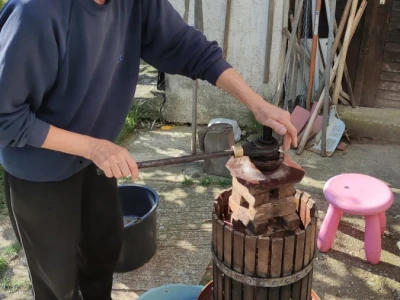 Fermentacija oko nas