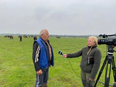 Vesna Mijat