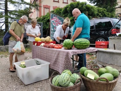 184. Zeleni Kastav