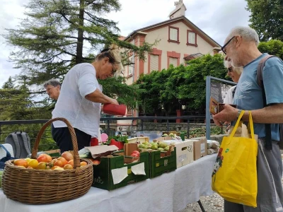 184. Zeleni Kastav