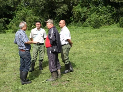Pomor ribe u jakšičkom ribnjaku