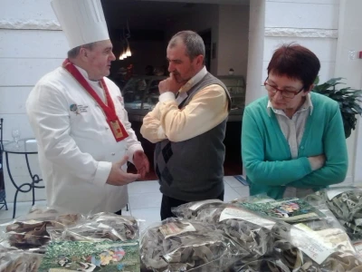 OPG Sokić
