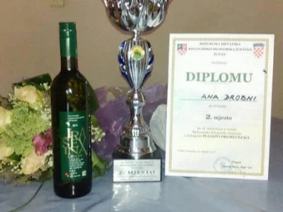 Natjecanje orača Bjelovarsko-bilogorske županije