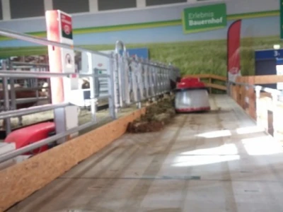 Automatika Lely