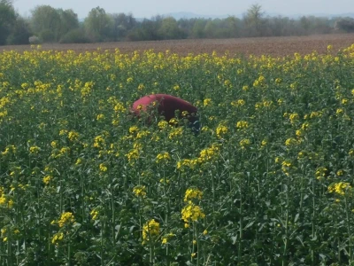 OPG Ostrihon u Račinovcima