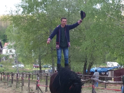 12. izložba konja Hrvatski Posavac u Novskoj