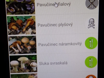 Češki programeri izmislili aplikaciju za raspoznavanje gljiva mobitelom