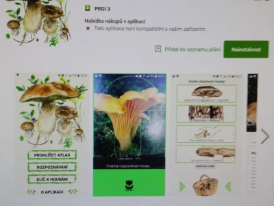 Češki programeri izmislili aplikaciju za raspoznavanje gljiva mobitelom