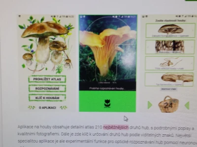 Češki programeri izmislili aplikaciju za raspoznavanje gljiva mobitelom
