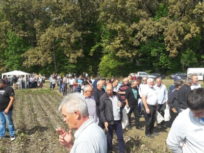 Proizvođači u obilasku pokusnog polja