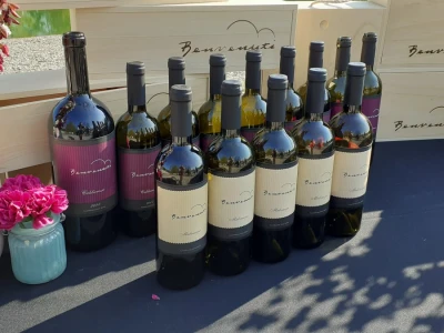 Benvenuti vina