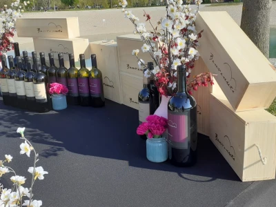 Benvenuti vina