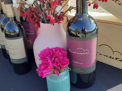 Benvenuti vina