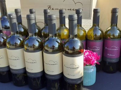 Benvenuti vina