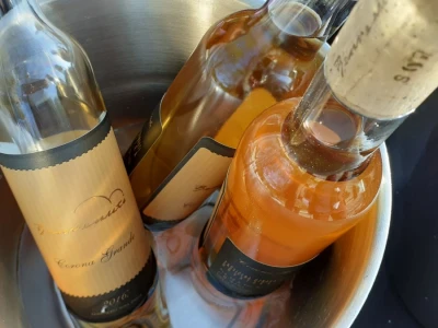 Benvenuti vina