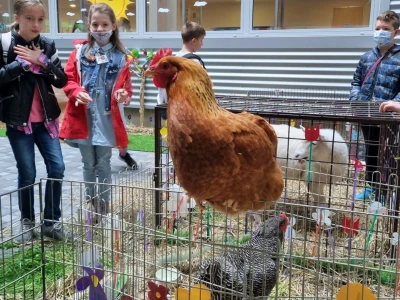 Festival znanosti  na FAZOS-u