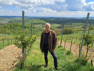 Vinarija Bolfan Vinski