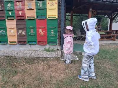 Pčelar Antun Arh
