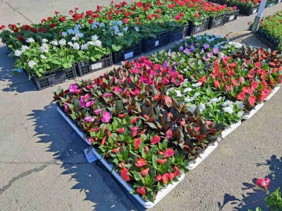 27. Proljetni međunarodni bjelovarski sajam