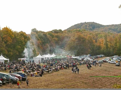 27. Zelinska kestenijada