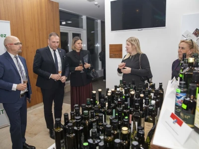 28. Međunarodni susret maslinara i uljara, Noćnjak 2026