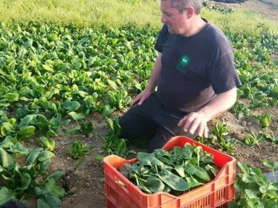 Senad Hujić
