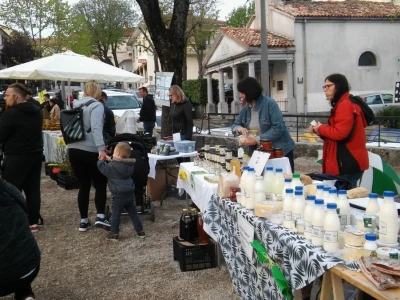 30. Zeleni Kastav