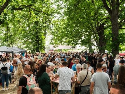 31. Baranjski bećarac u Topolju