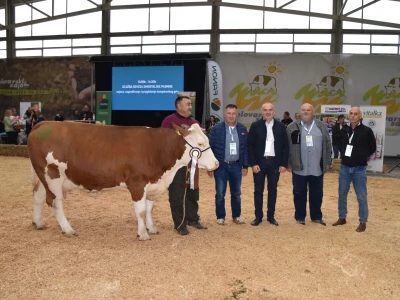 31. Državna stočarska izložba - najbolja hrvatska grla