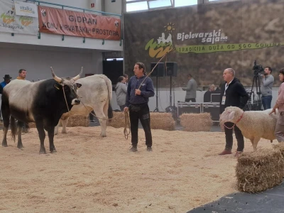 31. Jesenski međunarodni bjelovarski sajam