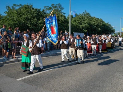 33. Jakovlja i Smotra istarskih volova - boškarina