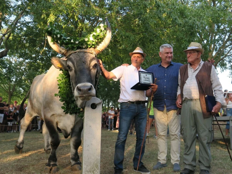 Istarski župan 