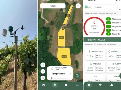 Platforma Vineyard Angel