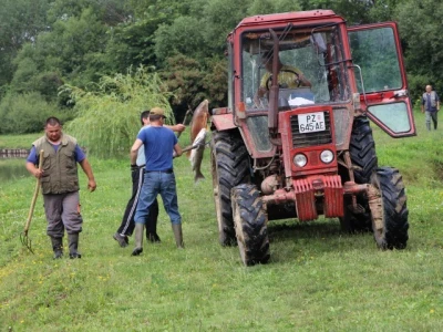 Pomor ribe u jakšičkom ribnjaku
