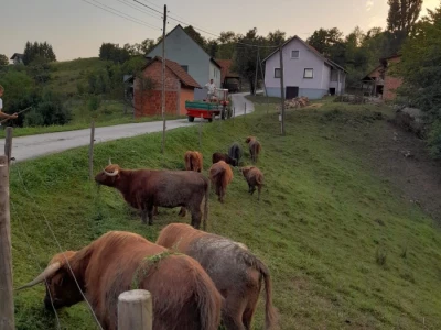 Eko farma Vrškovac