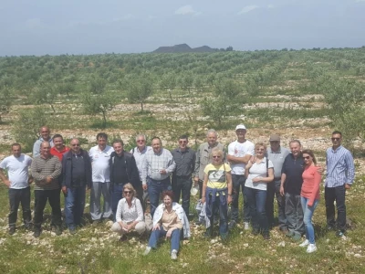 Posjet maslinicima u Ravnim kotarima