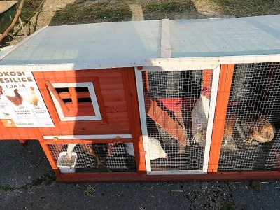 5. Međunarodni poljoprivredni sajam AgroTerra u Pazinu
