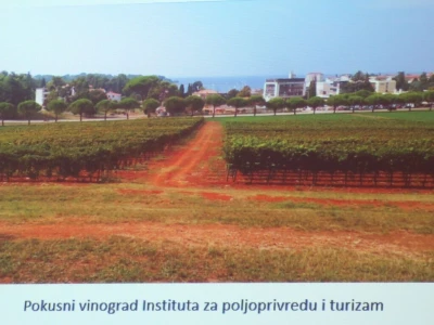 5. Međunarodni poljoprivredni sajam AgroTerra u Pazinu