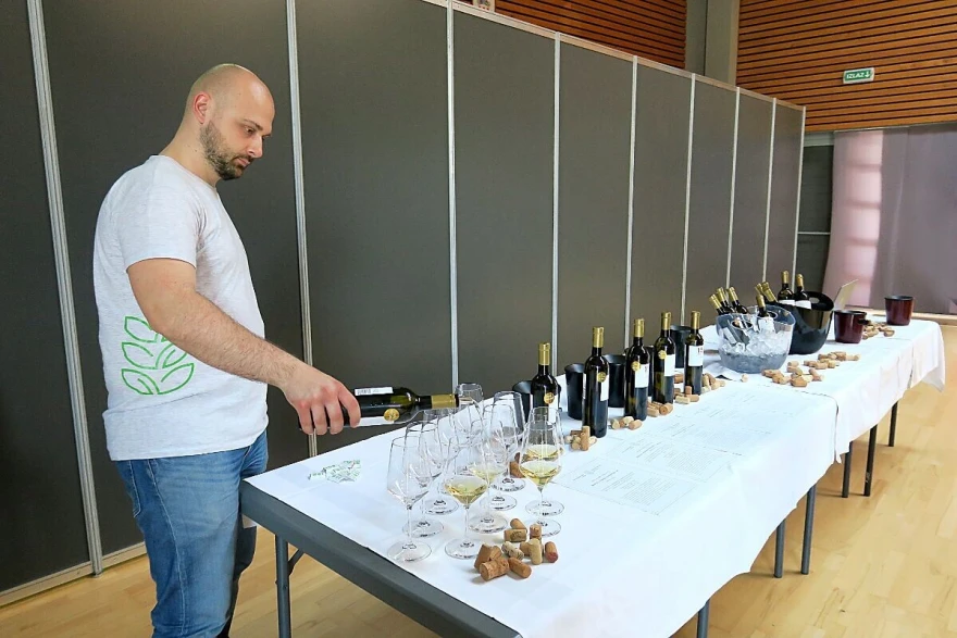 Vino projekt