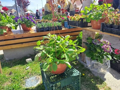 5. Proljetni festival u