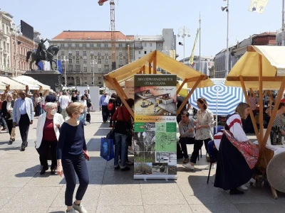6. Festival maslina u Zagrebu