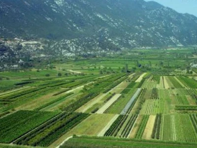 Vrgoračko-neretvansko polje (obilje svježeg kvalitetnog povrća, voća)