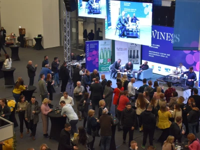 9. WineOs - Osijek Wine fest