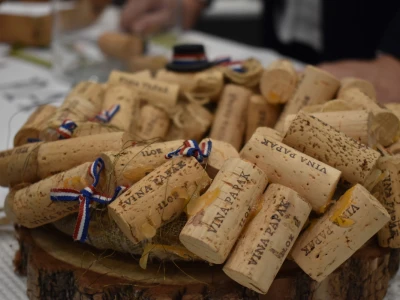 9. WineOs - Osijek Wine fest
