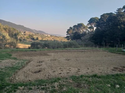 OPG Šime Grce